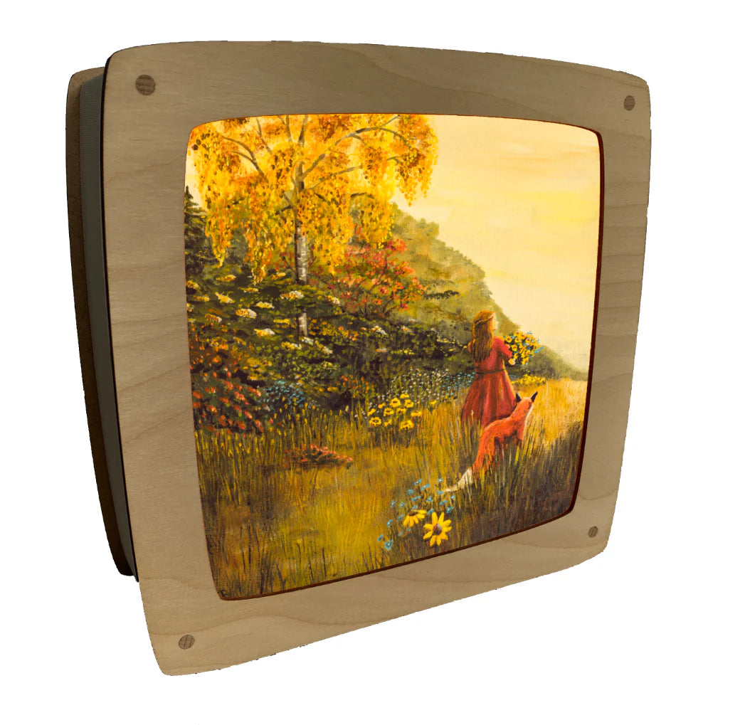 Wisselplaat In het veld