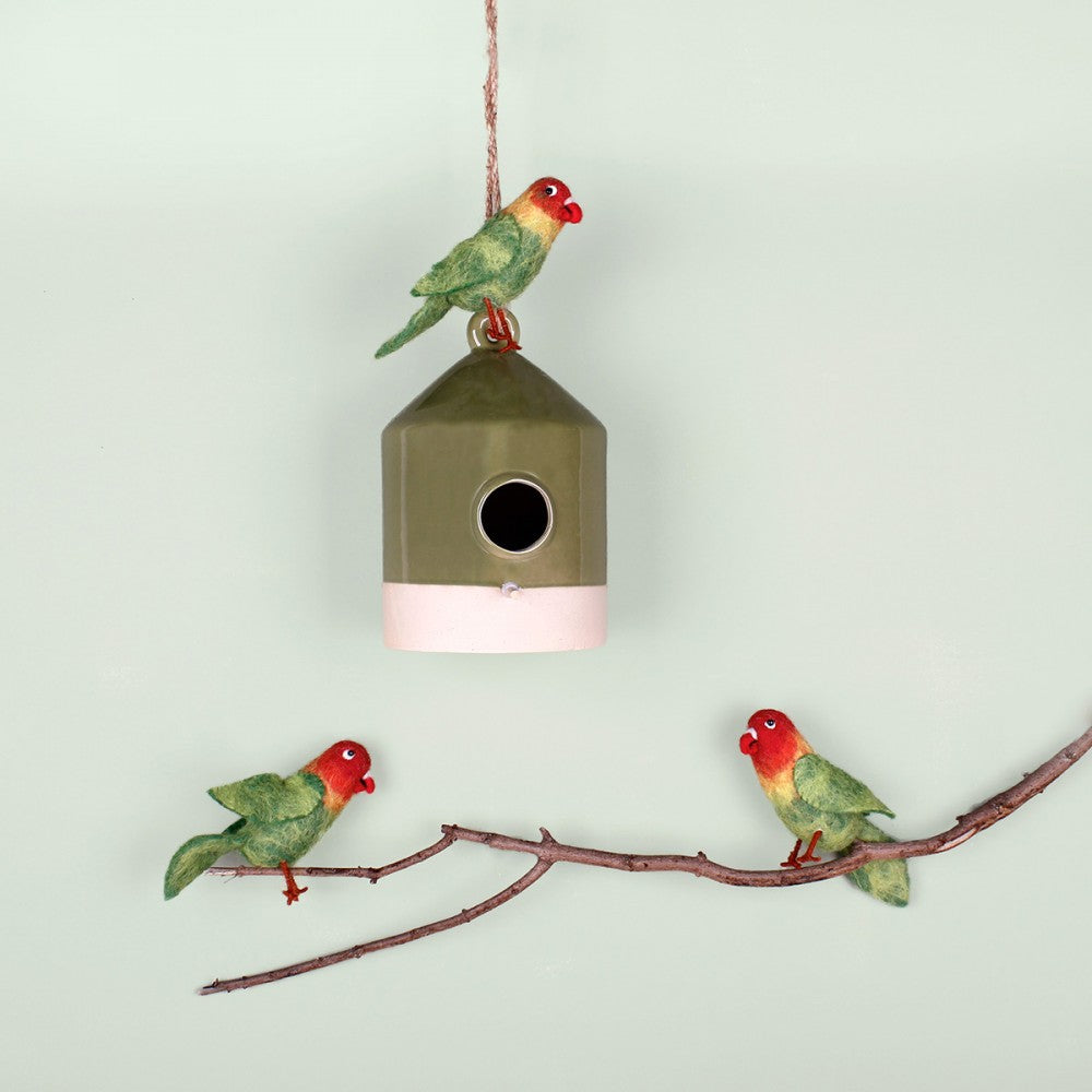 Hanger Dwergpapegaai