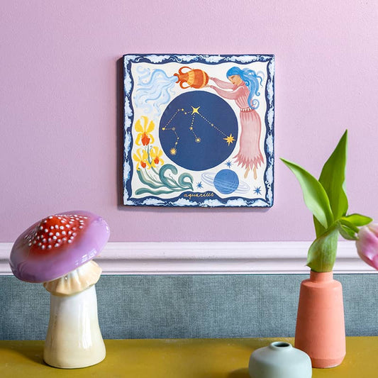 Sterrenbeeld Waterman