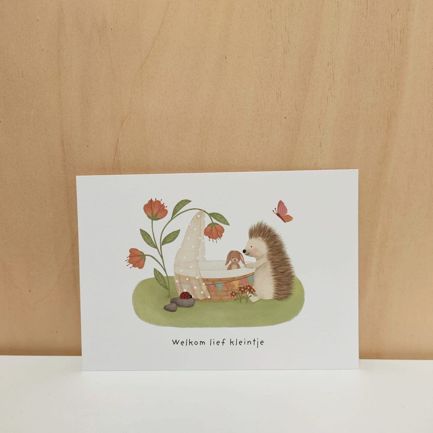 Kaart 'Welkom lief kleintje'