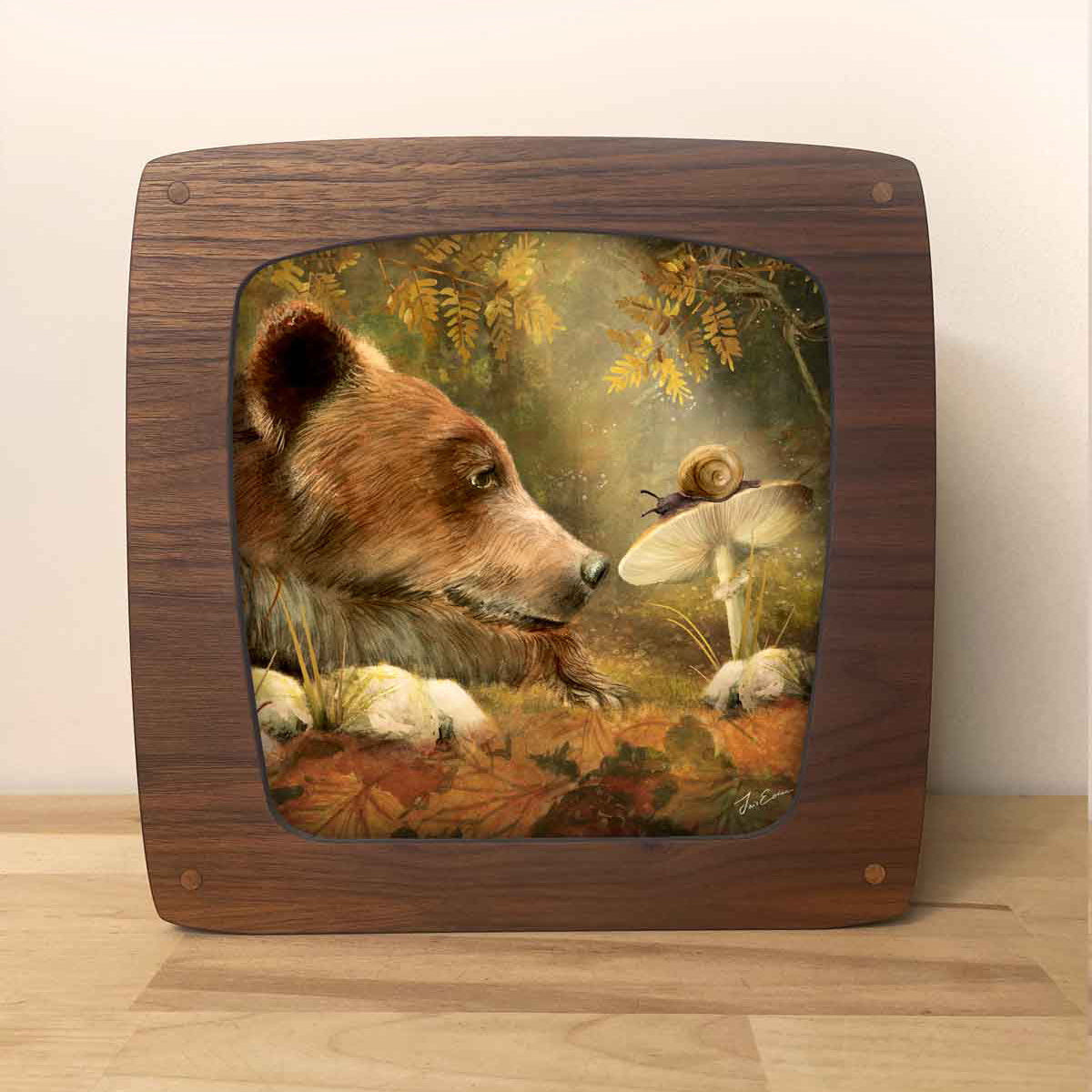 Wisselplaat Wonderment