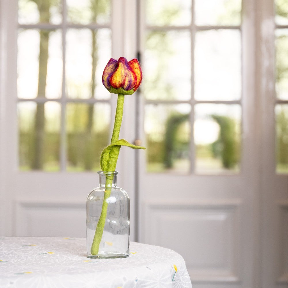 Tulp Pien