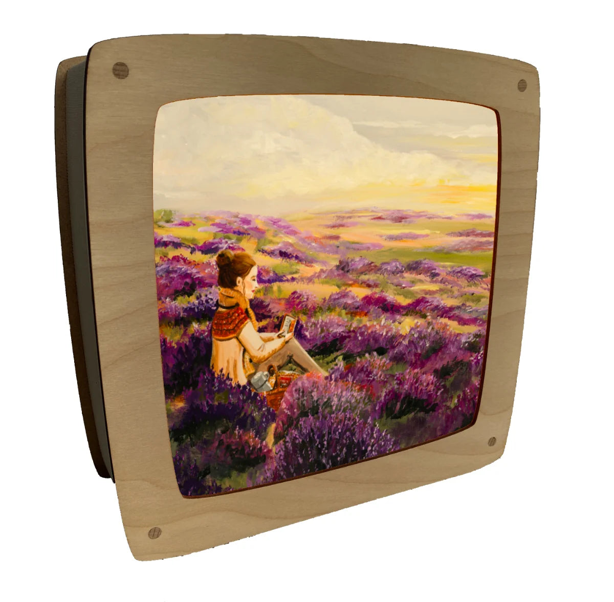 Wisselplaat De heide