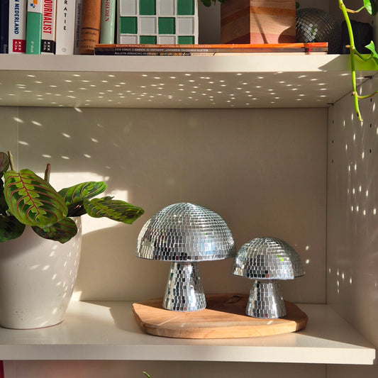 Disco Paddestoel