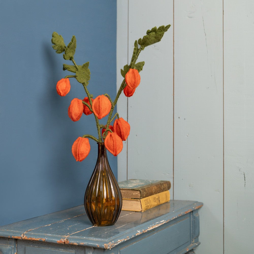 Tak Physalis Lampion