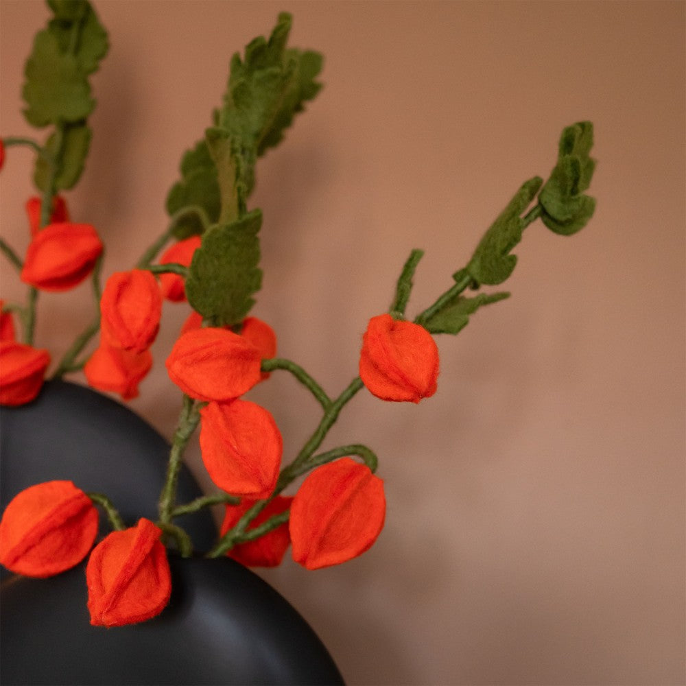 Tak Physalis Lampion