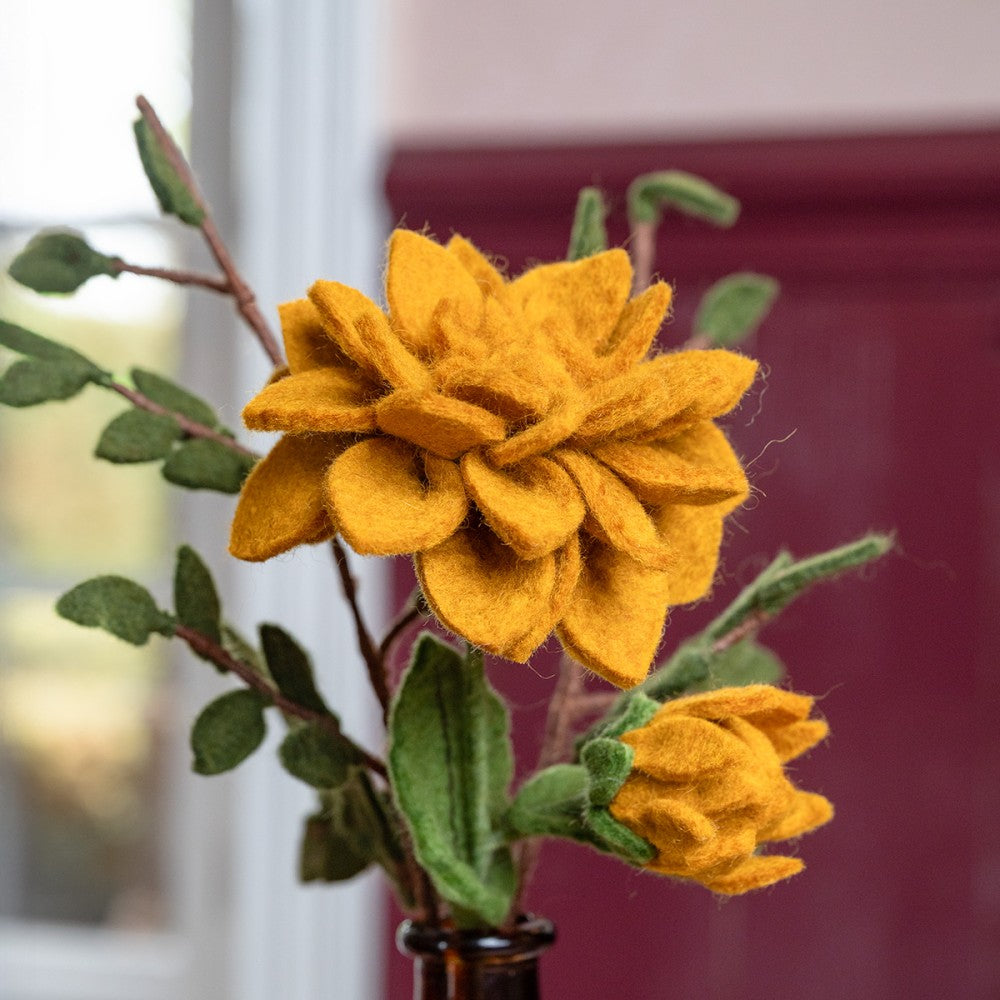 Dahlia Okergeel