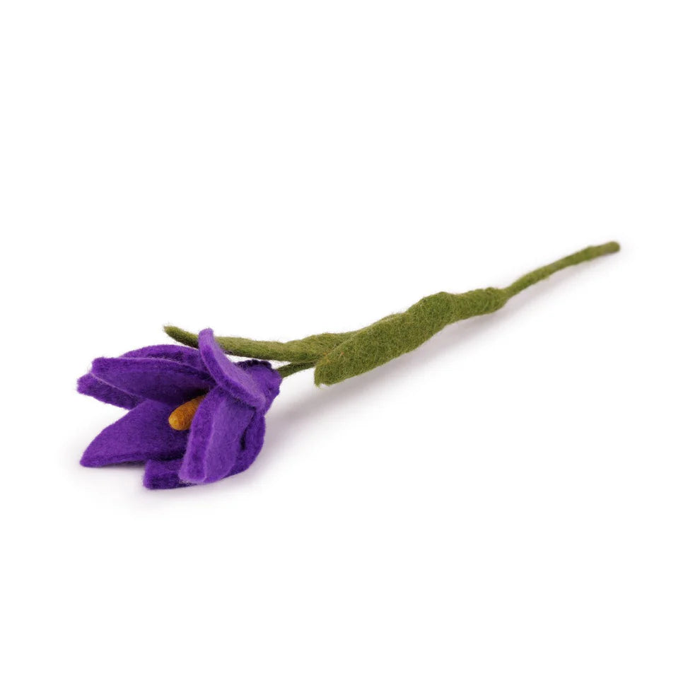 Krokus Paars