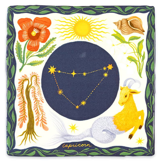 Sterrenbeeld Steenbok