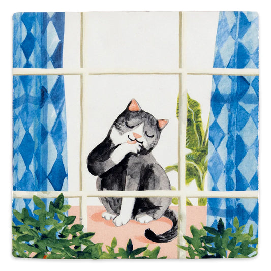 Cosy cat