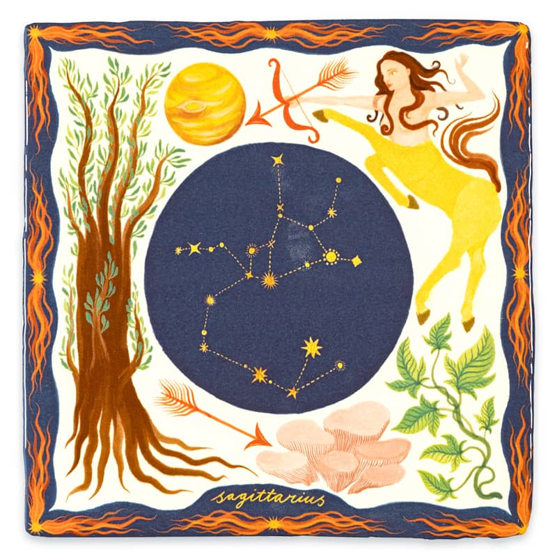 Sterrenbeeld Boogschutter