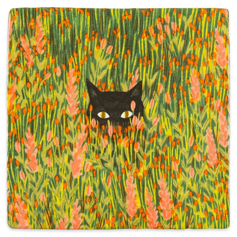 Hide and seek