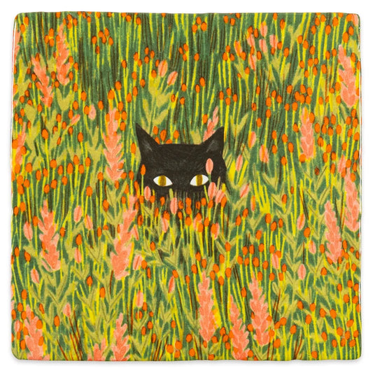 Hide and seek
