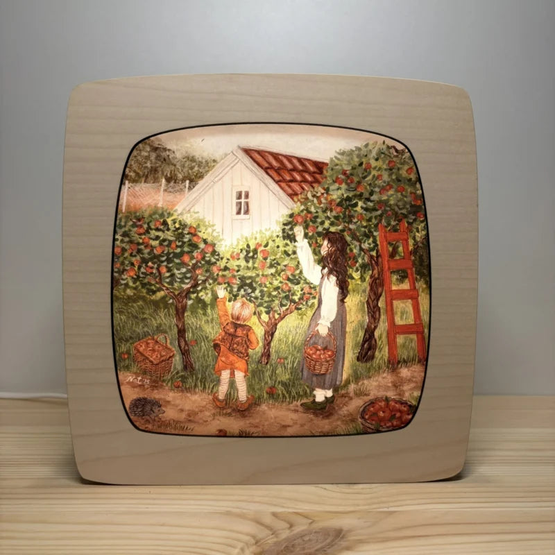 Wisselplaat Apple gathering