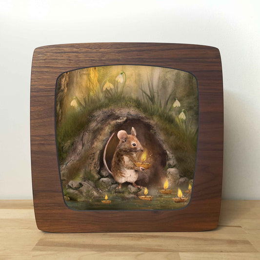 Wisselplaat Candlemouse