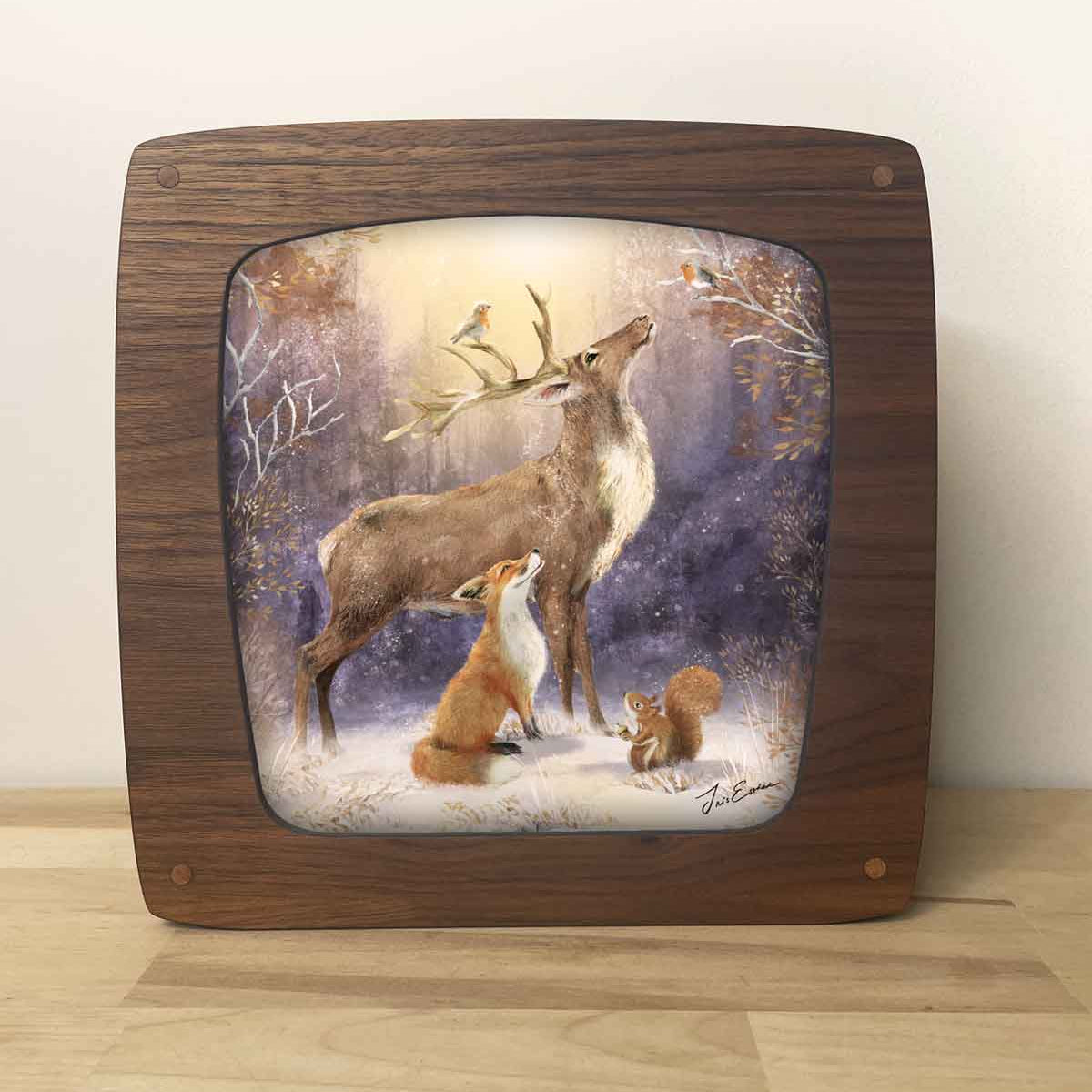 Wisselplaat Winterwonders