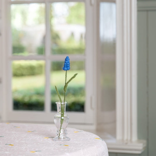 Blauw Druifje