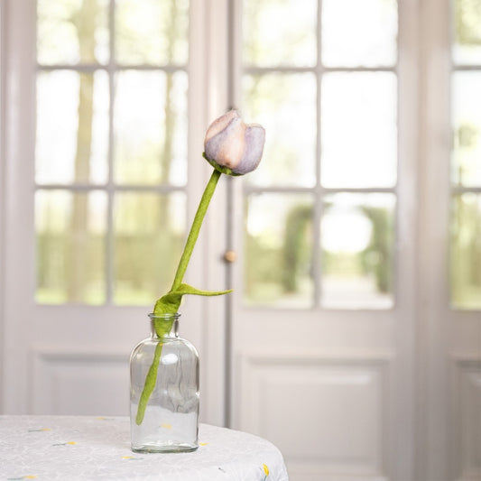 Tulp Livia