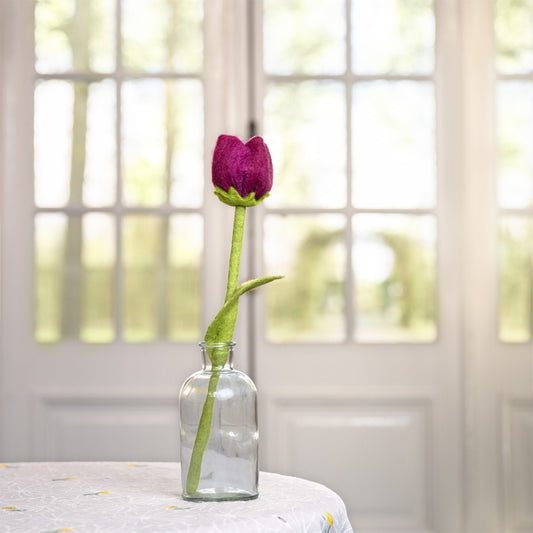 Tulp Mila