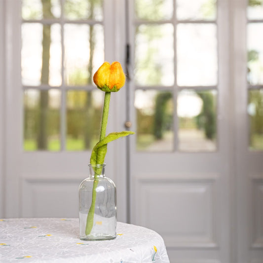 Tulp Olivia